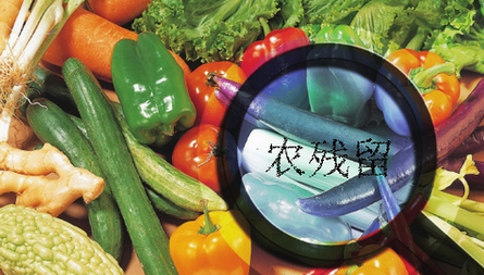 農藥殘留檢測儀結果無法上傳是什么原因？農藥殘留檢測儀的故障排除方法